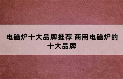 电磁炉十大品牌推荐 商用电磁炉的十大品牌